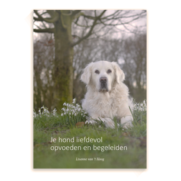 Hond liefdevol opvoeden en begeleiden - puppy hond training trainen heropvoeden puppyboek online kopen bestellen