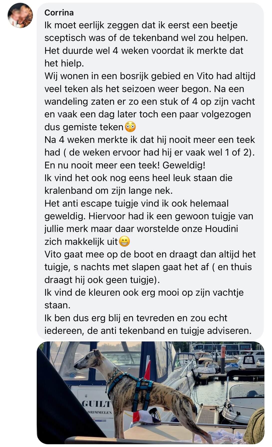 Natuurlijke vlooienband hond ervaring