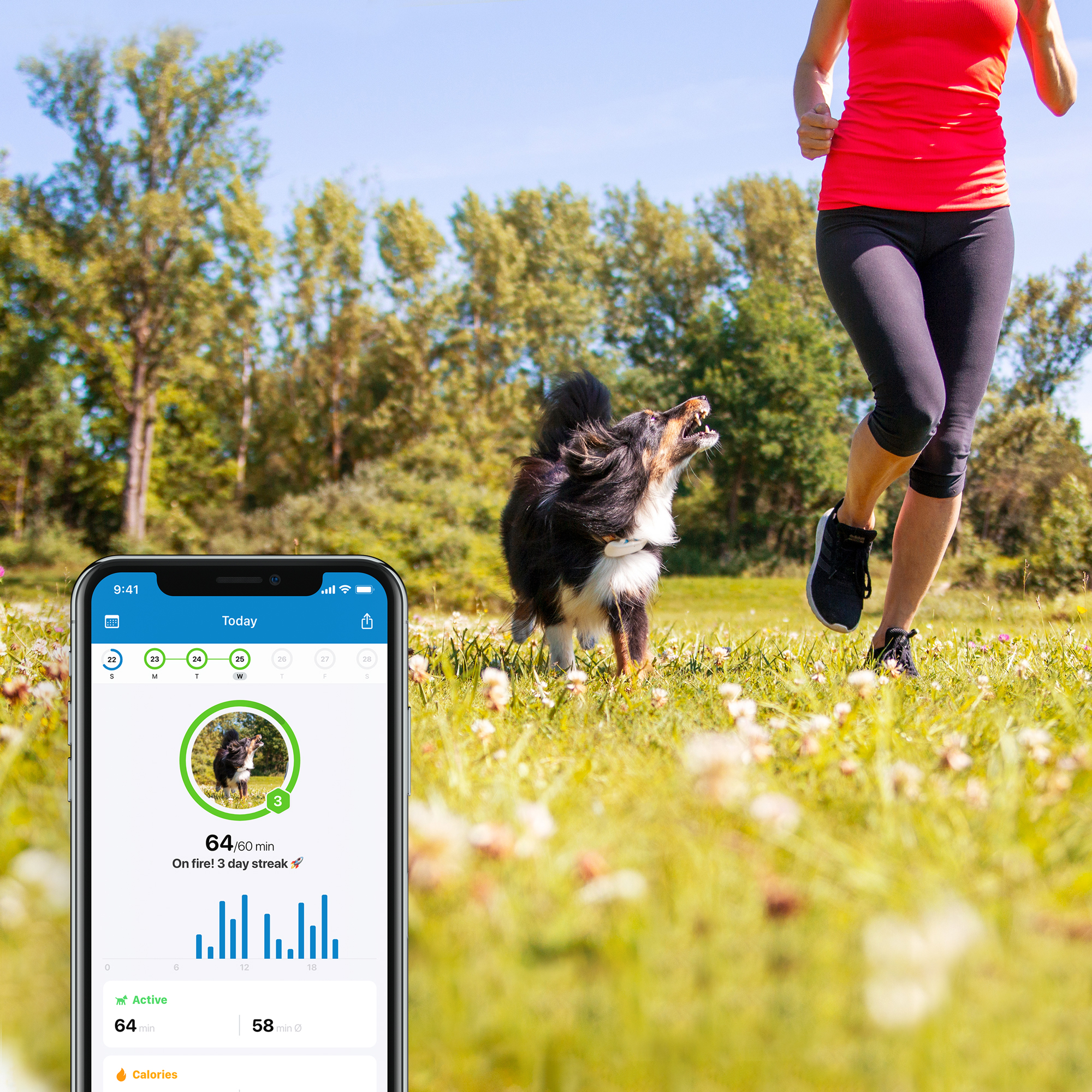 ② Tractive GPS-tracker voor honden — Accessoires pour chiens