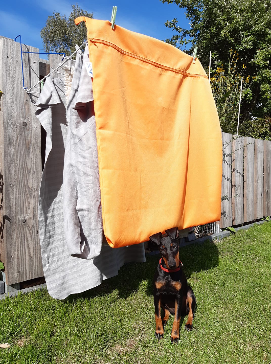 hemel Acrobatiek Voorbeeld Grote Waszak XL tegen hondenhaar & kattenhaar in wasmachine!