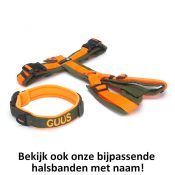 Set bijpassende annyx tuigje en halsband oranje