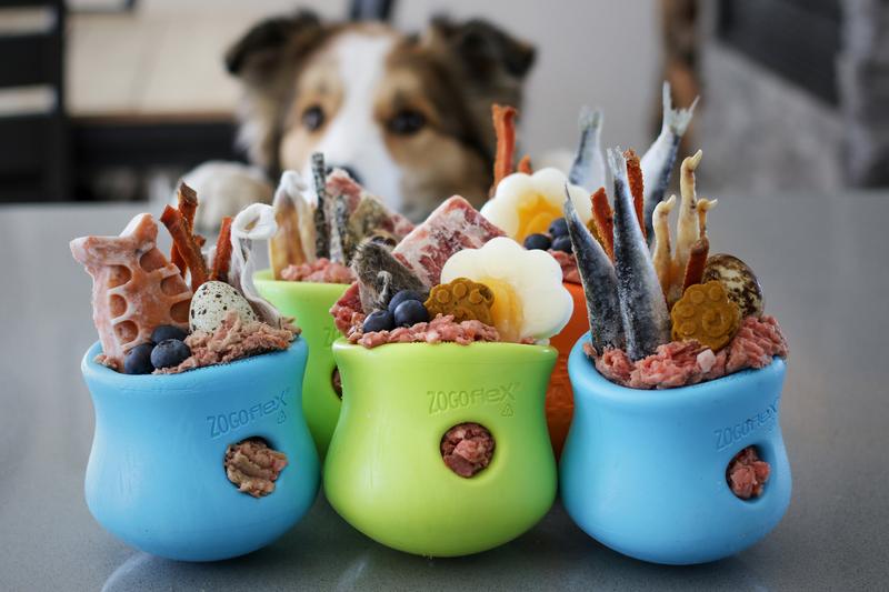 Rommelig Hond Afdeling Nieuw! West Paw Zogoflex Toppl, Tux, Rumbl & Qwizl - Honden speelgoed