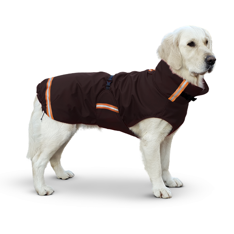 Vermaken rust de wind is sterk Top 3 beste Hondenjassen, Regenjas & Winterjas voor honden!