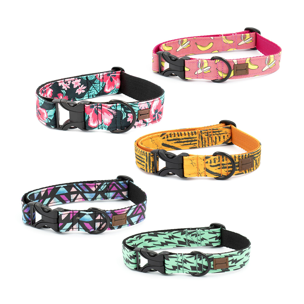 marketing Symfonie magneet Eco-friendly honden halsbanden in unieke kleuren & printjes