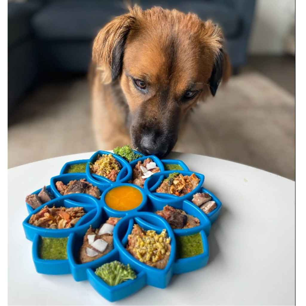 verzonden werk Uitstralen SodaPup Mandala voerspeeltje hond (4 kleuren) | Review & Getest!