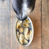 Canumi gezonde vis voor de hond groenlipmossel vers gevangen