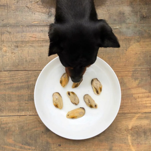 Canumi groenlipmossel artrose hond supplement vers