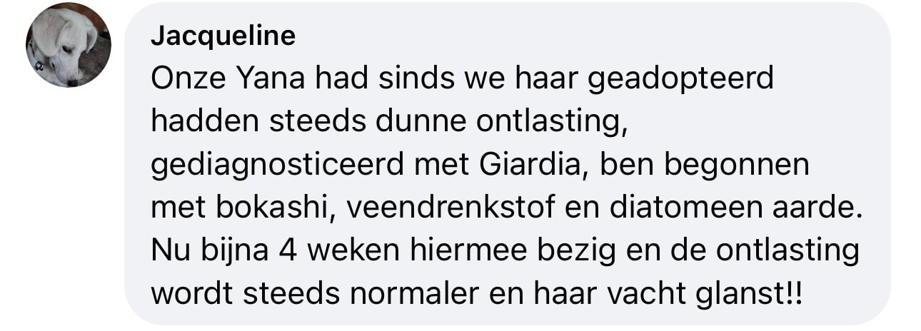 diatomeeënaarde hond giardia ervaringen