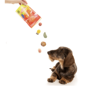 Lulu's Kitchen Pawty Mix candy echte snoepjes voor honden