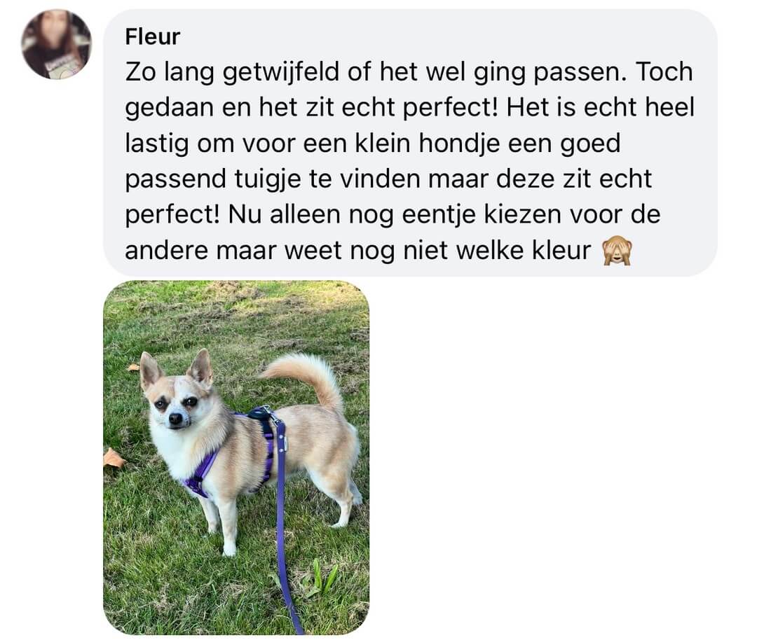 Ervaring tuigje klein hondje