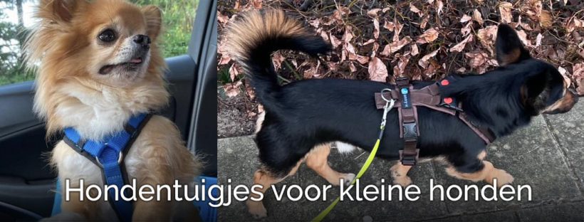 Hondentuigjes kleine hond