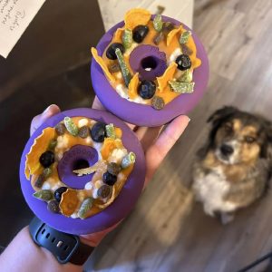 Freezbone freez donut hondenijs maken hond ervaring