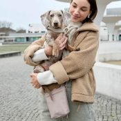 Palopa beloningszakje hond hondentraining taupe ervaring