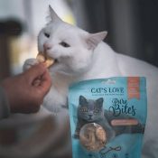 Natuurlijke kattensnacks