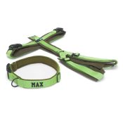 Set halsband hond met naam en tuigje groen