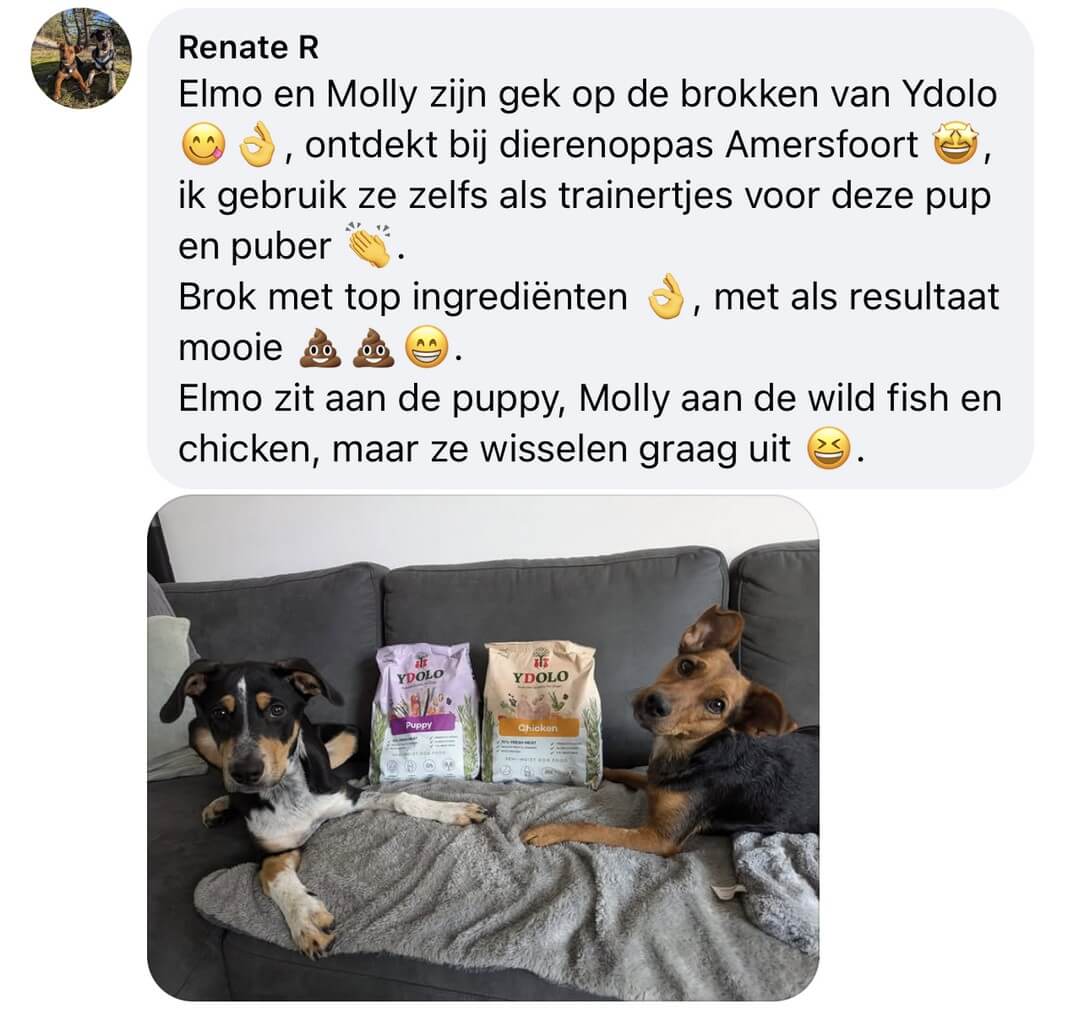 ydolo hondenvoer review voerwijzer