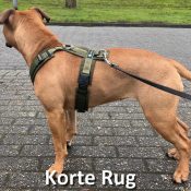 AnnyX Limited Edition voorbeeld korte rug