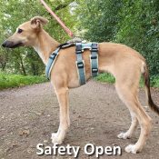 AnnyX Limited Edition voorbeeld safety open met neksluiting