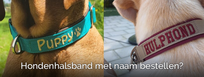 Mooie halsband hond met naam kopen