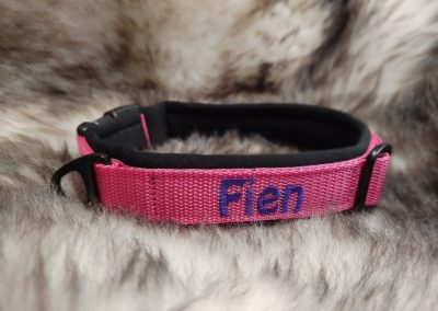 Halsband hond met naam en telefoonnummer Fien