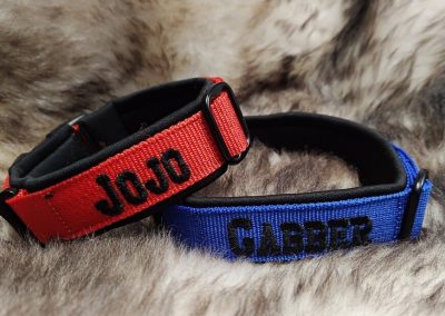 Halsband hond met naam en telefoonnummer JoJo Gabber