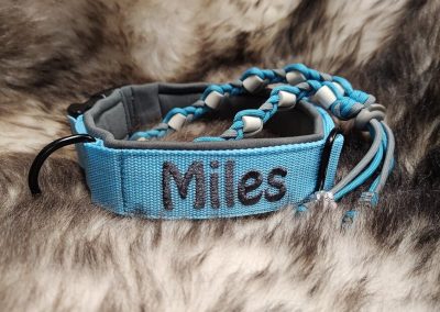 Halsband hond met naam en telefoonnummer Miles