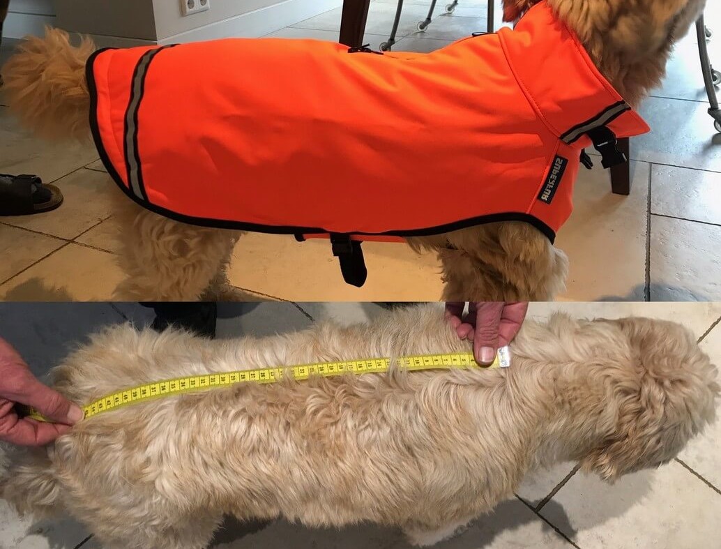 Softshell regenjas labradoodle