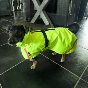 Regenjas jack russell waterdicht winter