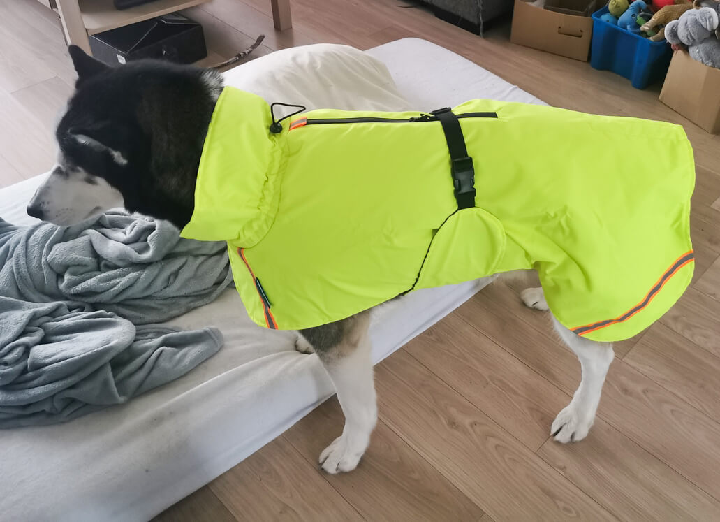 Regenjas voor grote honden