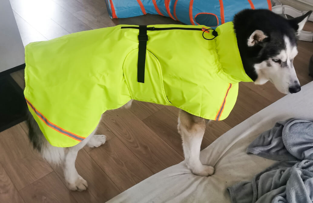 Regenjas voor husky