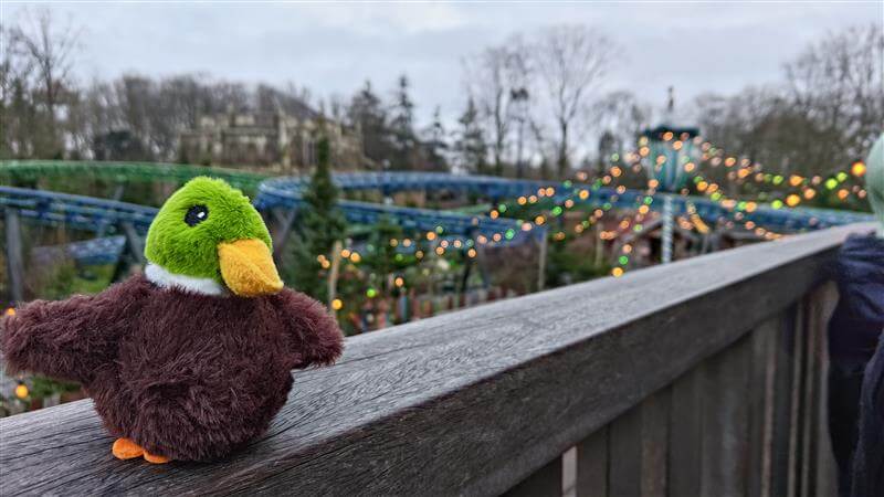 Glenn eend kattenspeelgoed in de efteling