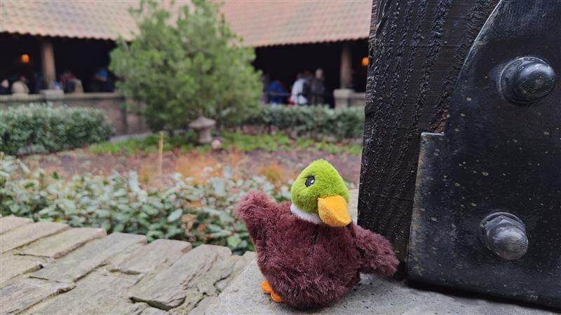 Speelgoed eend kat in efteling